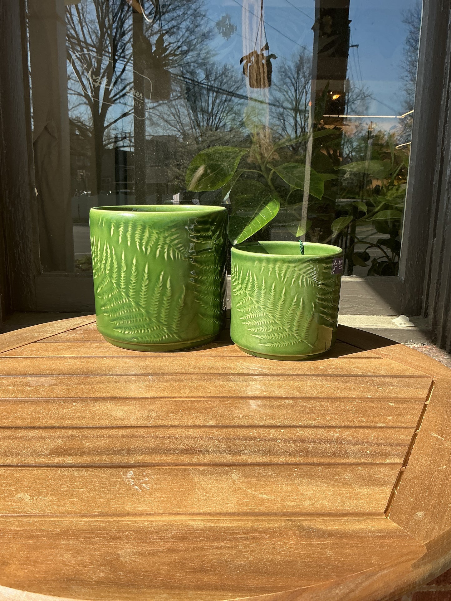 Green Fern Planter