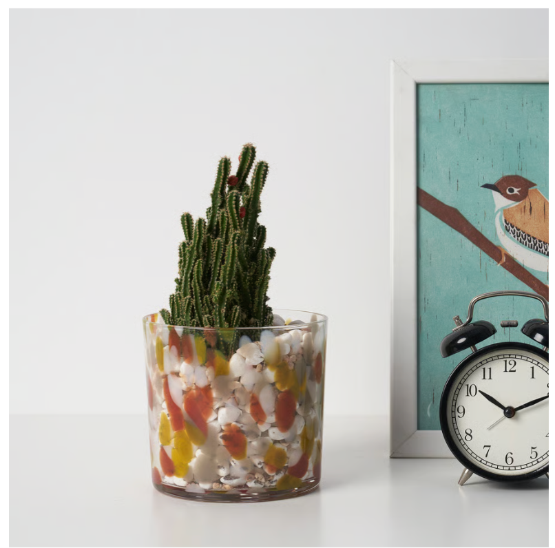 Plant Pot, Multicolor Dot