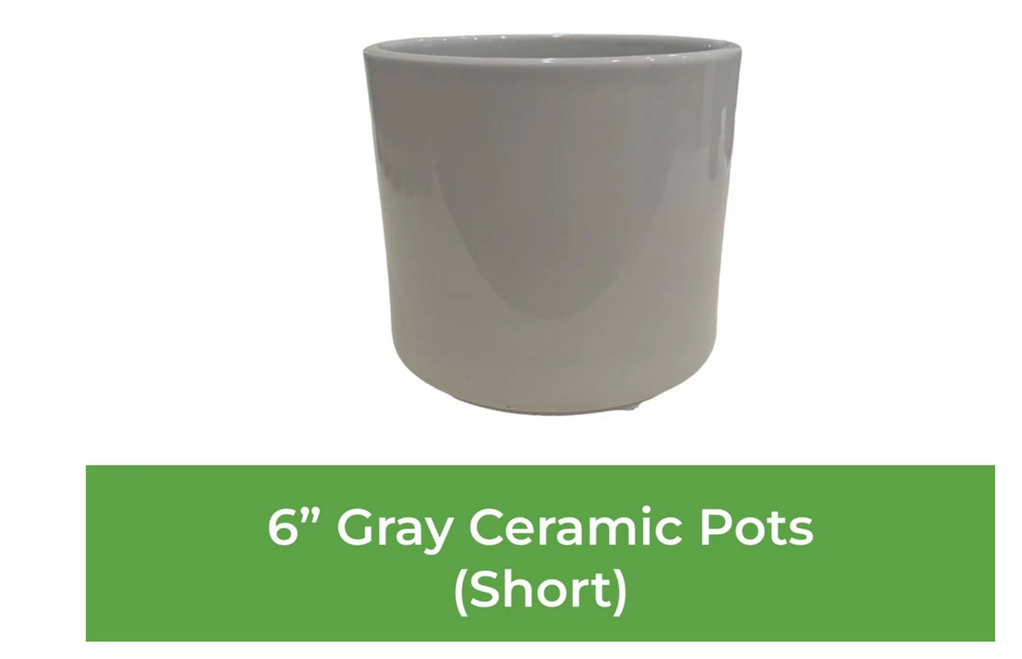 6" Ceramic Pot