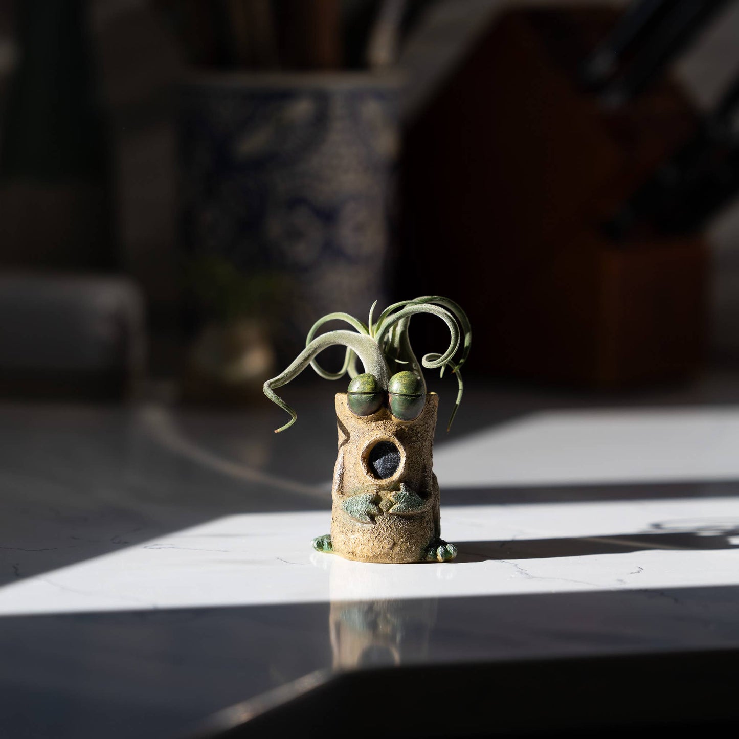 Baby Singing Frog - Luca - Mini Blobhouse Planter