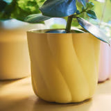 Plant Pot, Dark Yellow