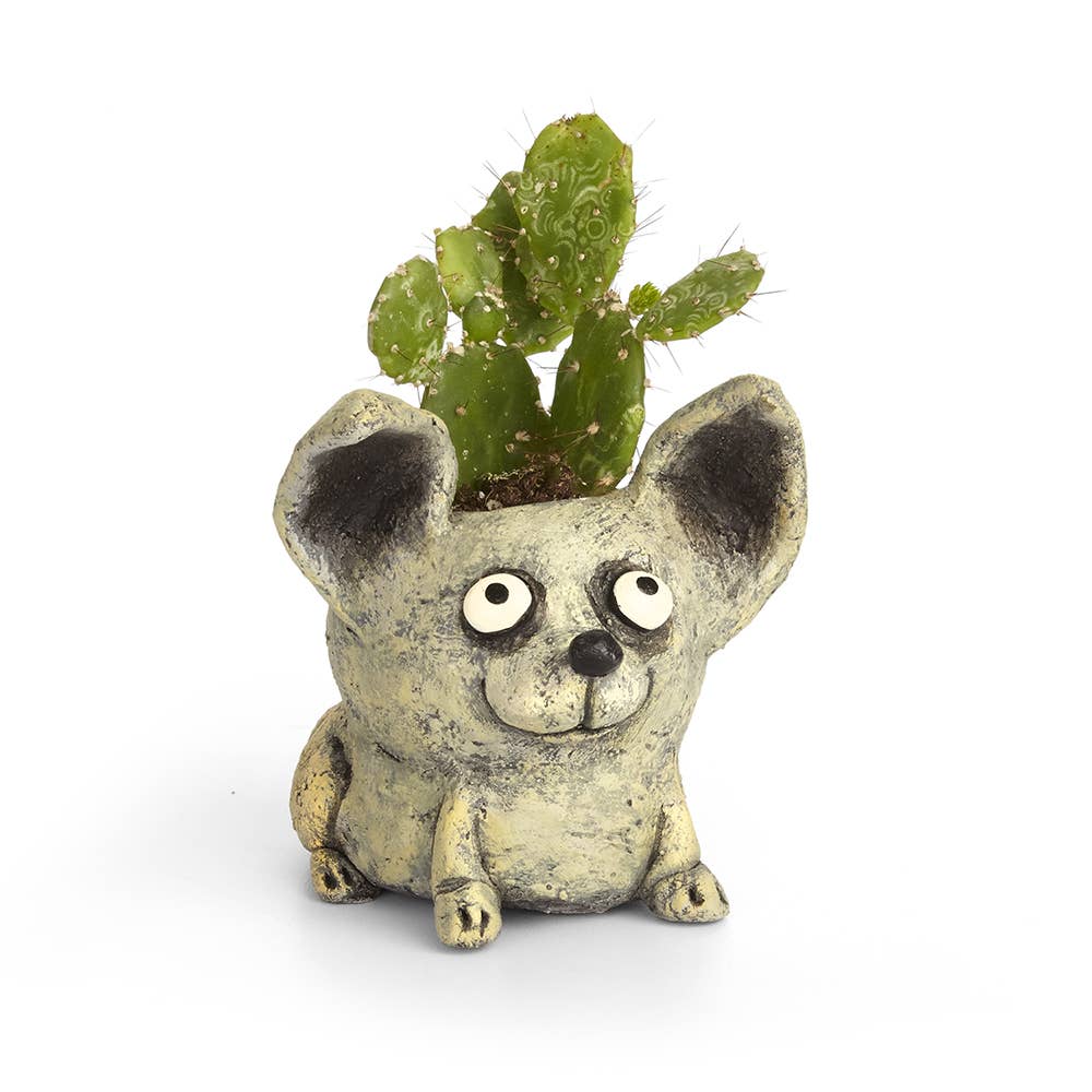 Chico Dog Blobhouse Planter