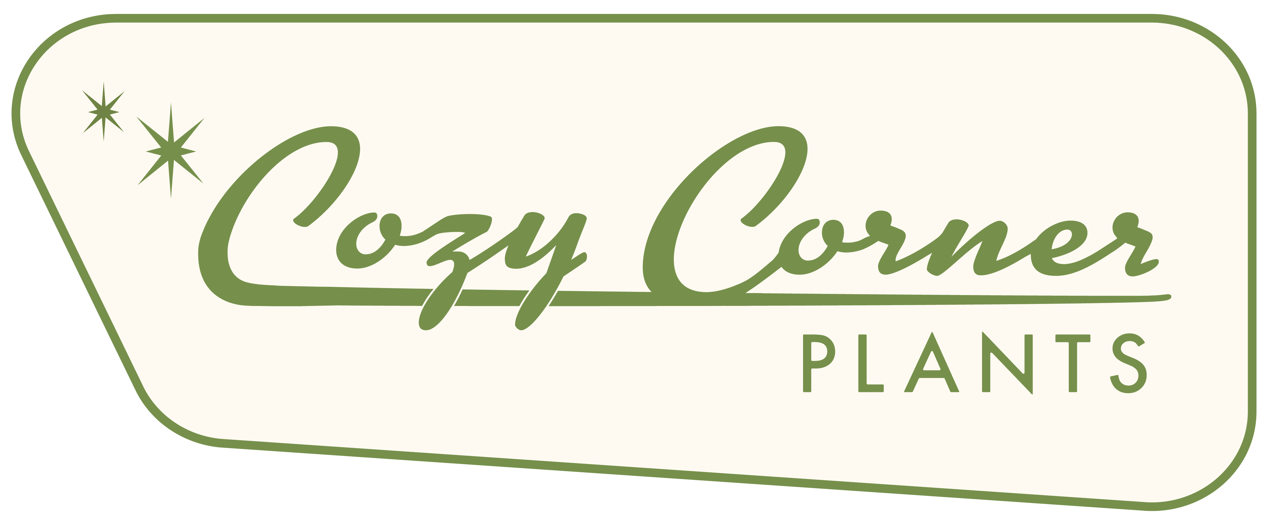 Monstera Cream Cheese – Cozy Corner Plants