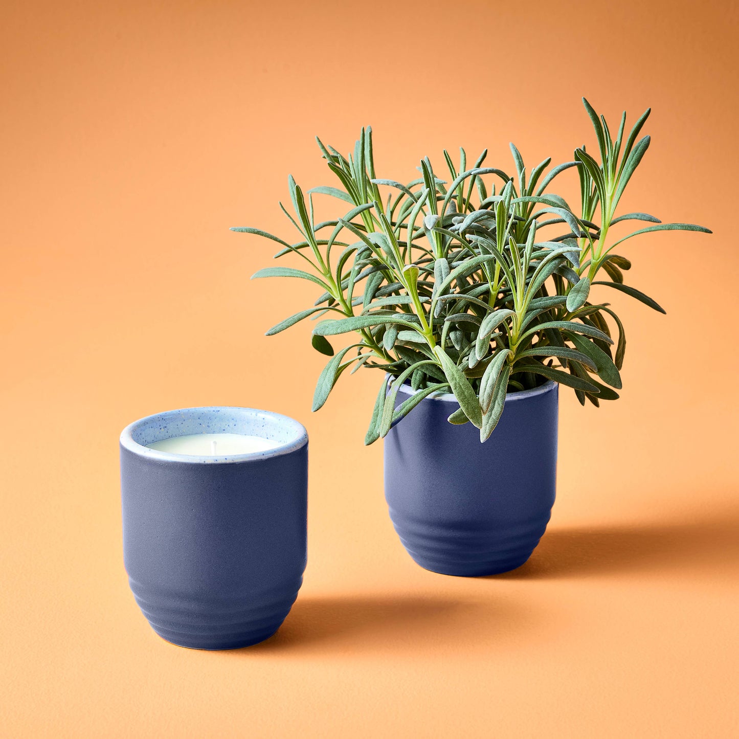 Garden Vibes Candle/Planter 2-in-1: In the Weeds - Mint