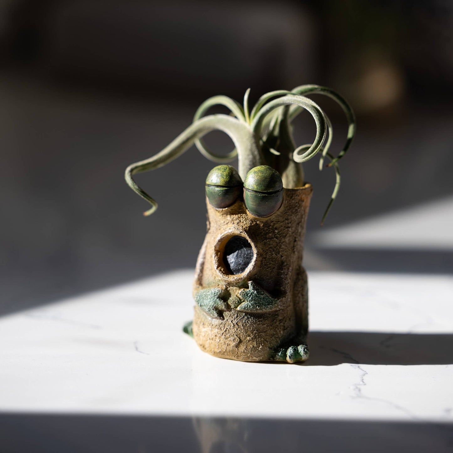 Baby Singing Frog - Luca - Mini Blobhouse Planter