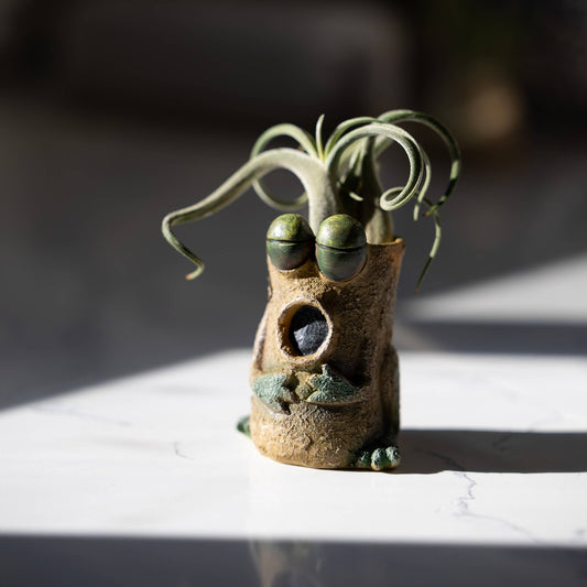 Baby Singing Frog - Luca - Mini Blobhouse Planter