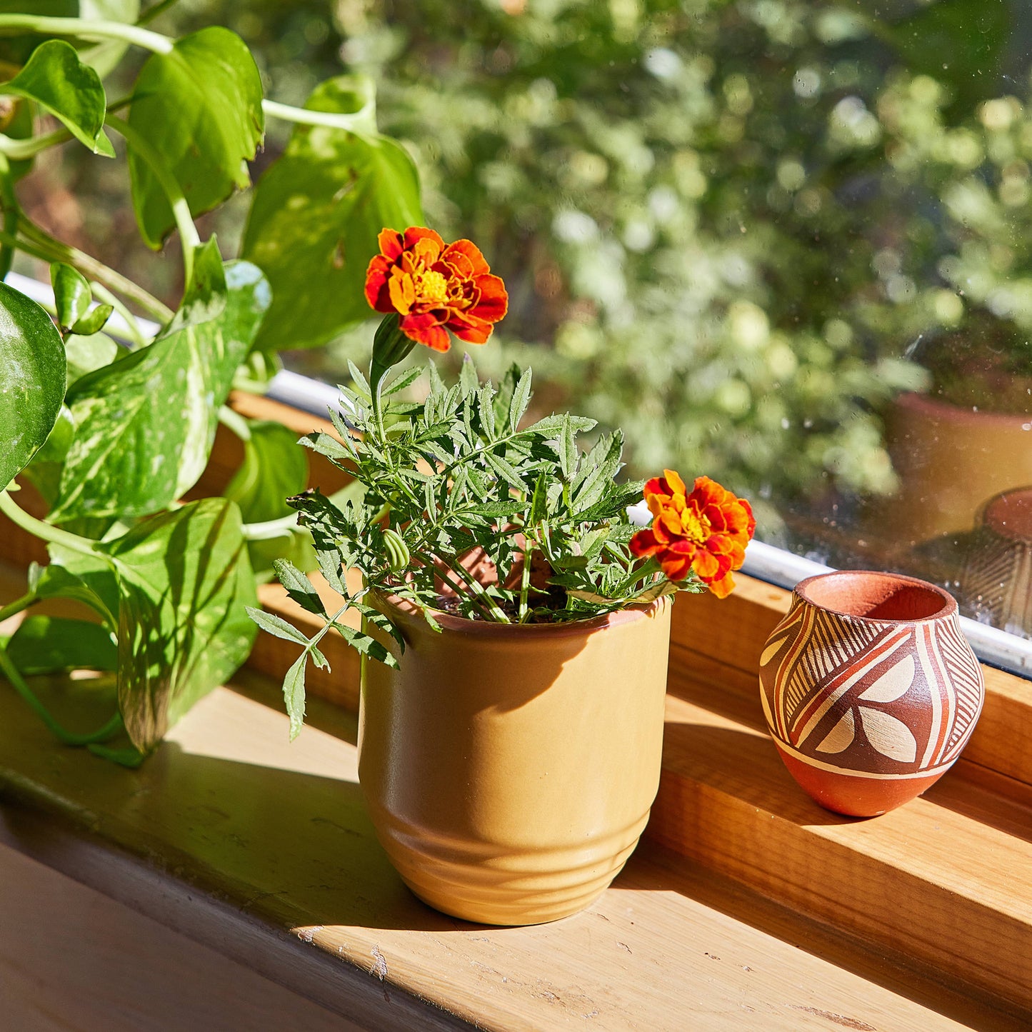 Garden Vibes Candle/Planter 2-in-1: Golden Moments - Sage