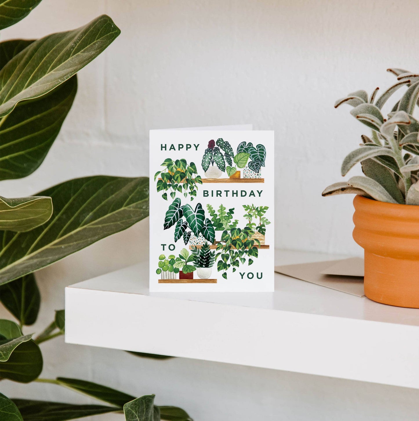Plant Shelf Happy Birthday Greeting Card | Houseplants Card