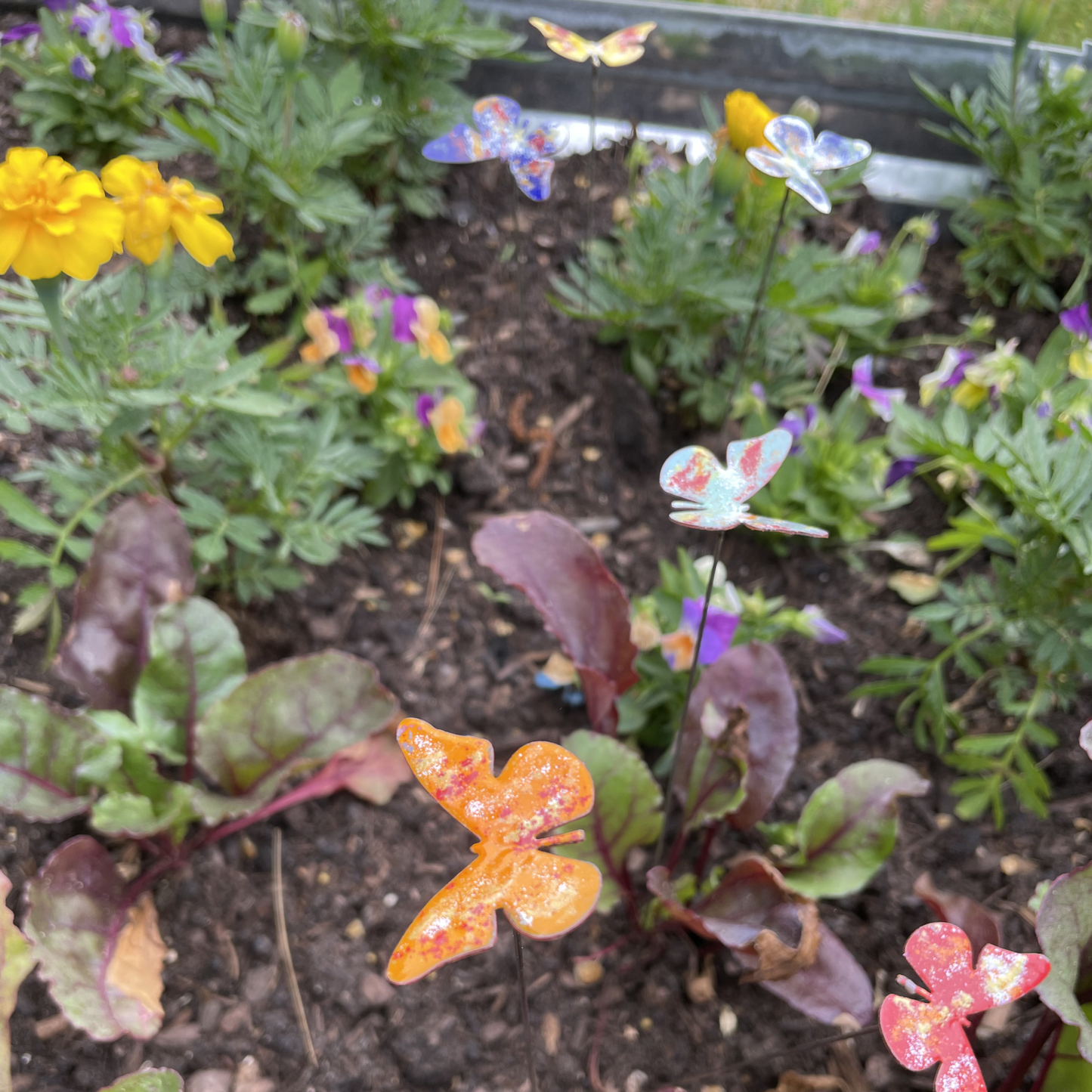 Small Copper Enamel Butterflies