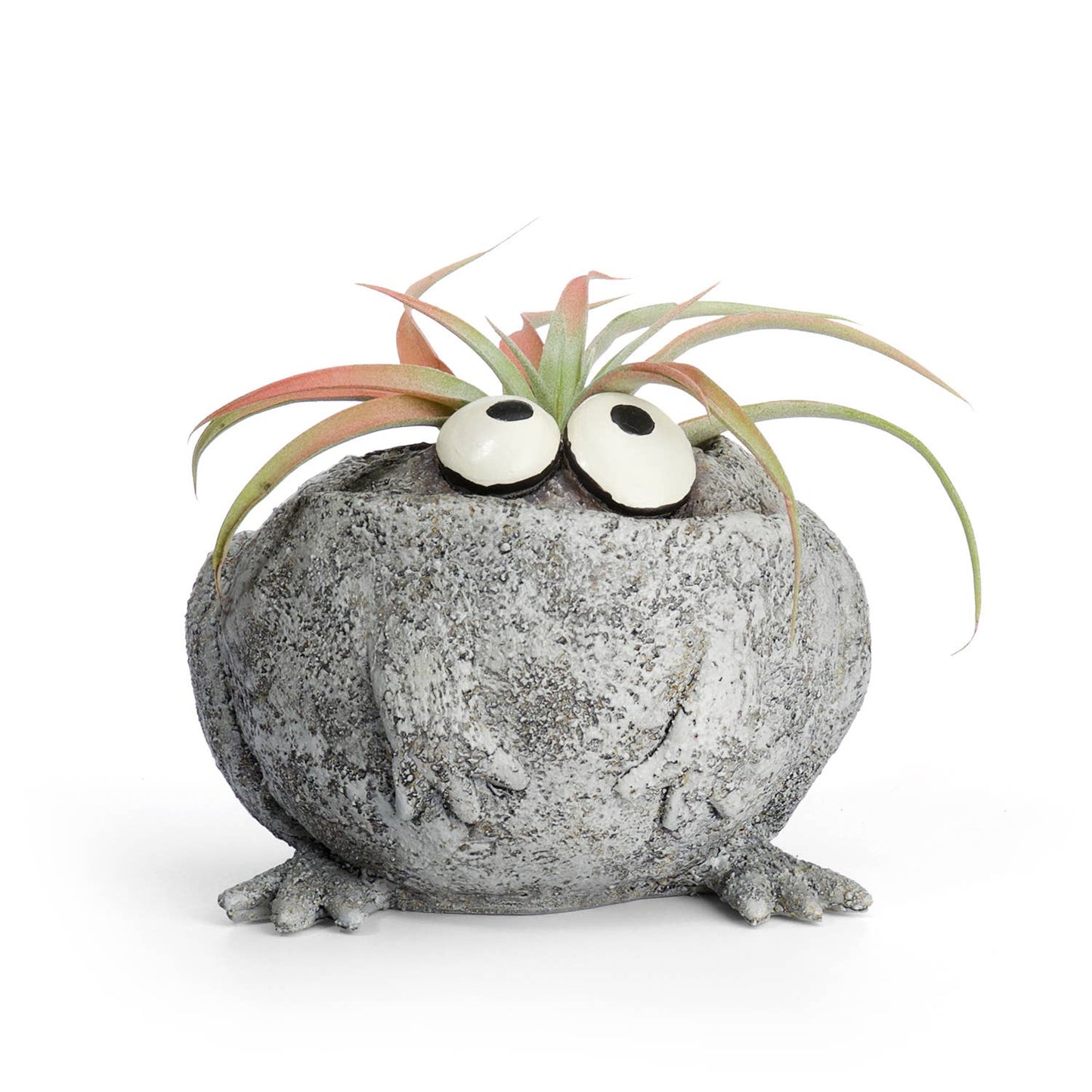 Romeo Mini Frog Blobhouse Planter