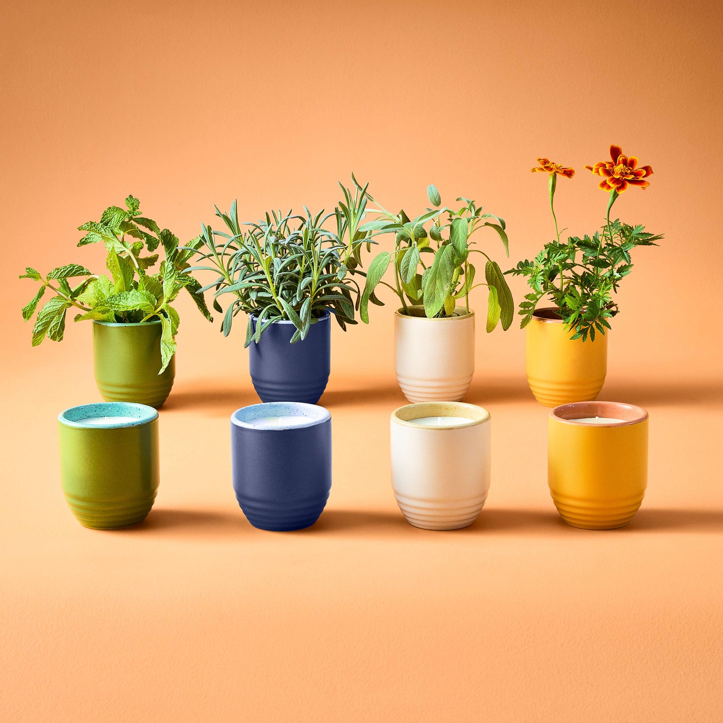 Garden Vibes Candle/Planter 2-in-1: In the Weeds - Mint