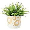 Hand-Painted Stoneware Planter with Gold Design