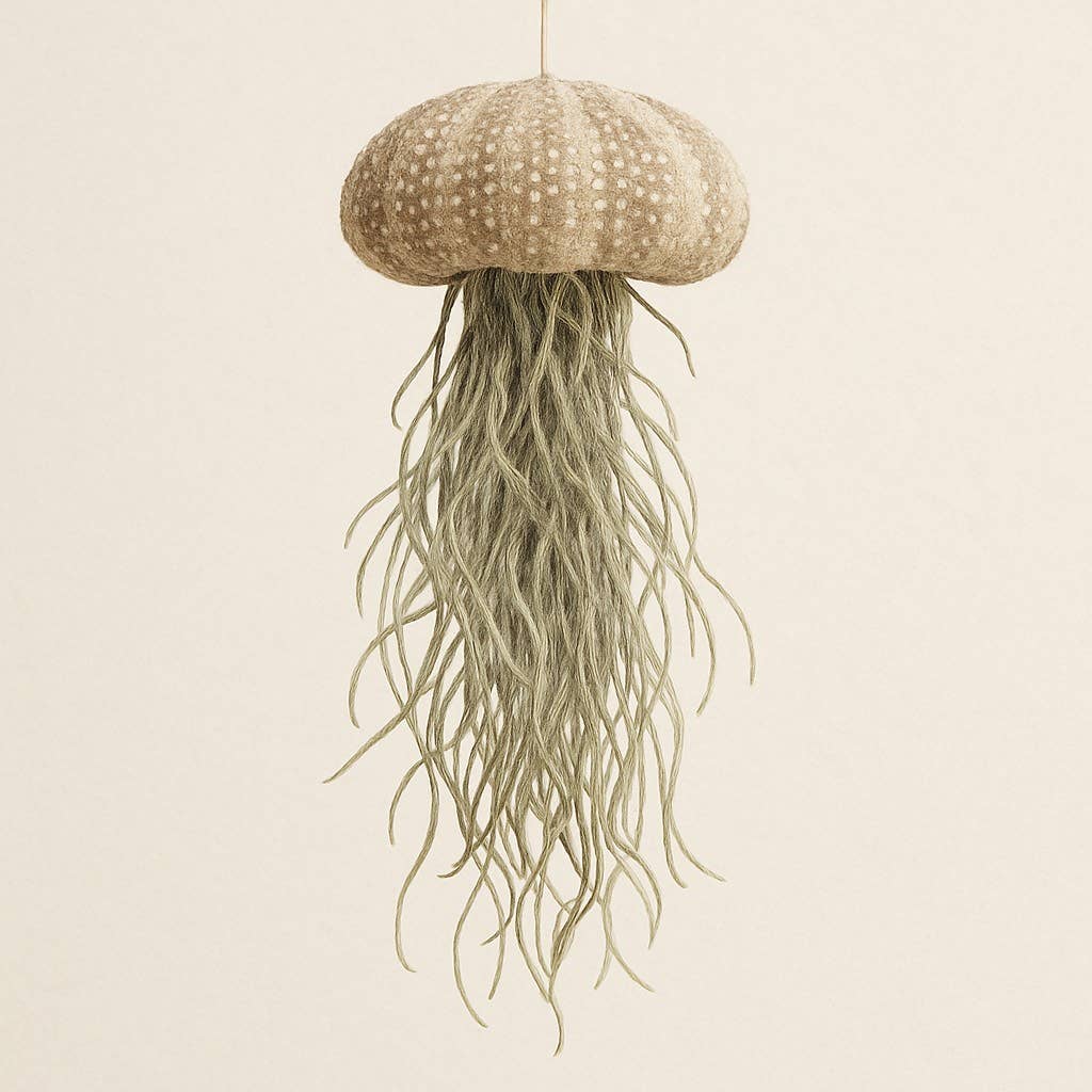 Jellyfish Spanish Moss Airplant