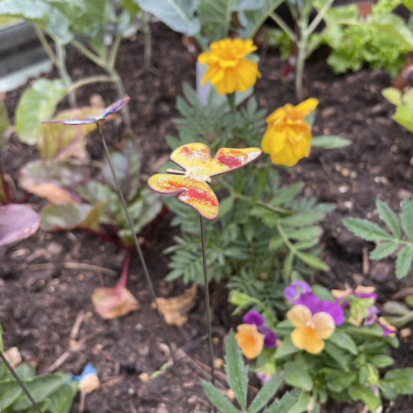Small Copper Enamel Butterflies