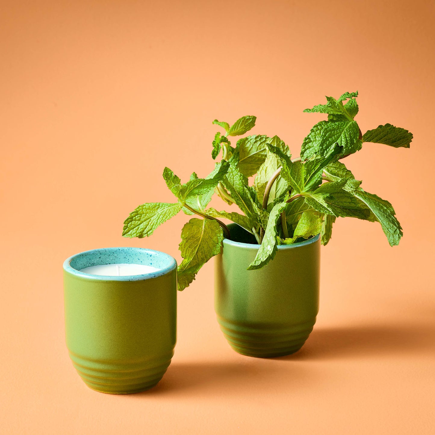 Garden Vibes Candle/Planter 2-in-1: Violet Hour - Lavender