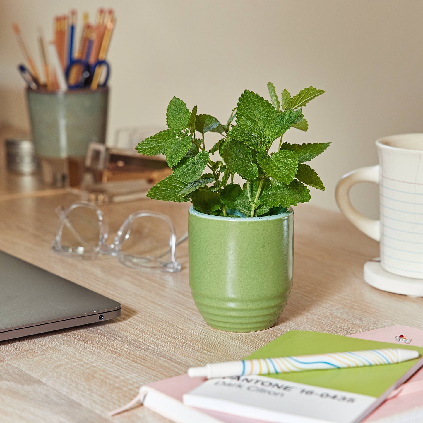 Garden Vibes Candle/Planter 2-in-1: Golden Moments - Sage