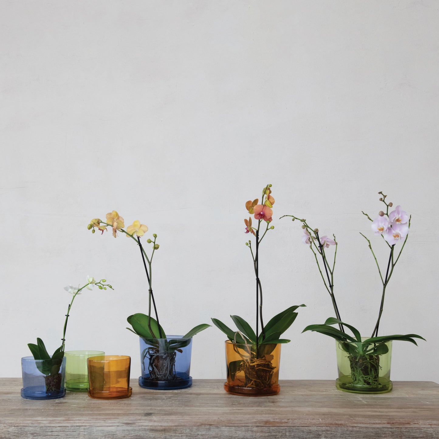 Hand-Blown Recycled Glass Planter w/ Saucer