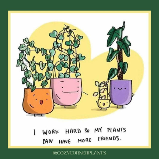 Sticker - I Work Hard So My Plants Can Have More Friends