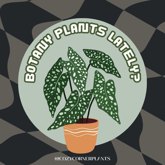 Sticker - Botany Plants Lately