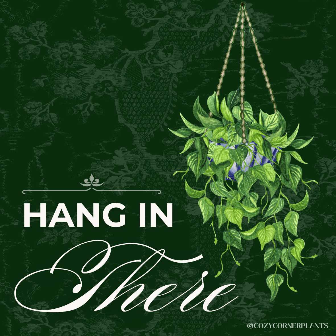 Sticker - Hang in There