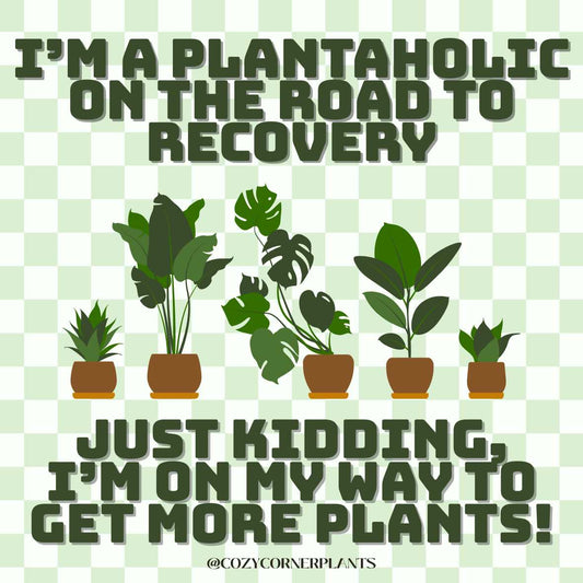 Sticker - I am a Plantaholic on the Road to Recovery...