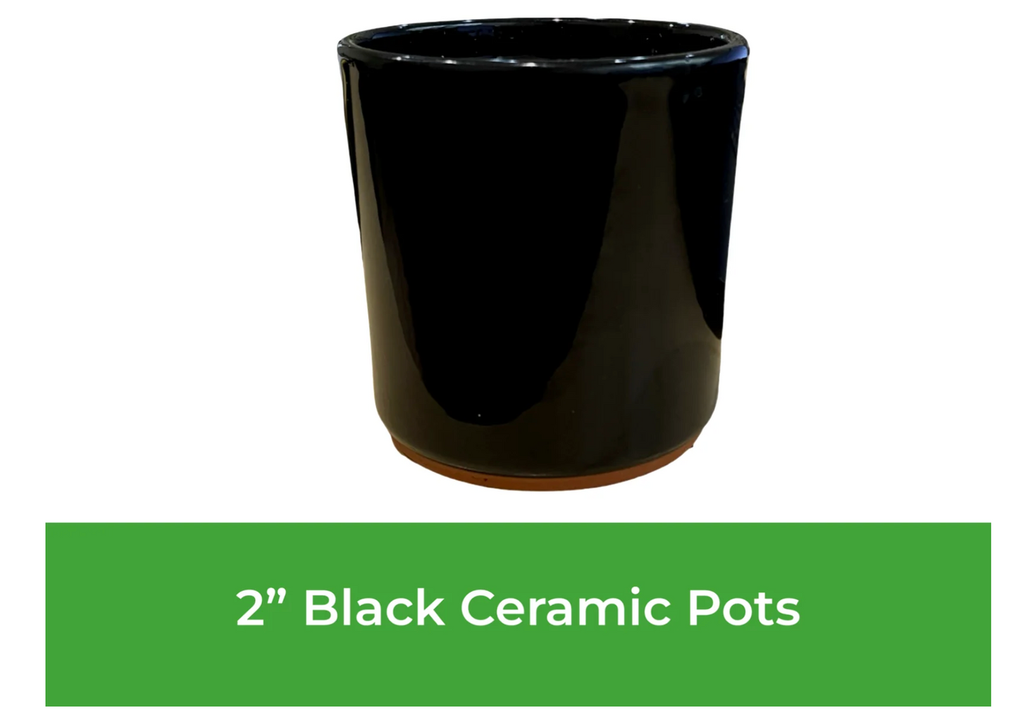 2" Ceramic Pot