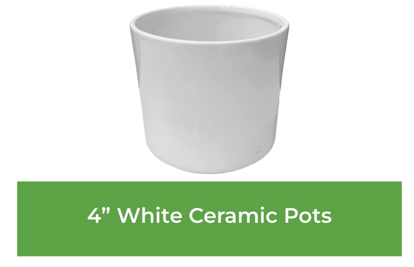 4" Ceramic Pot