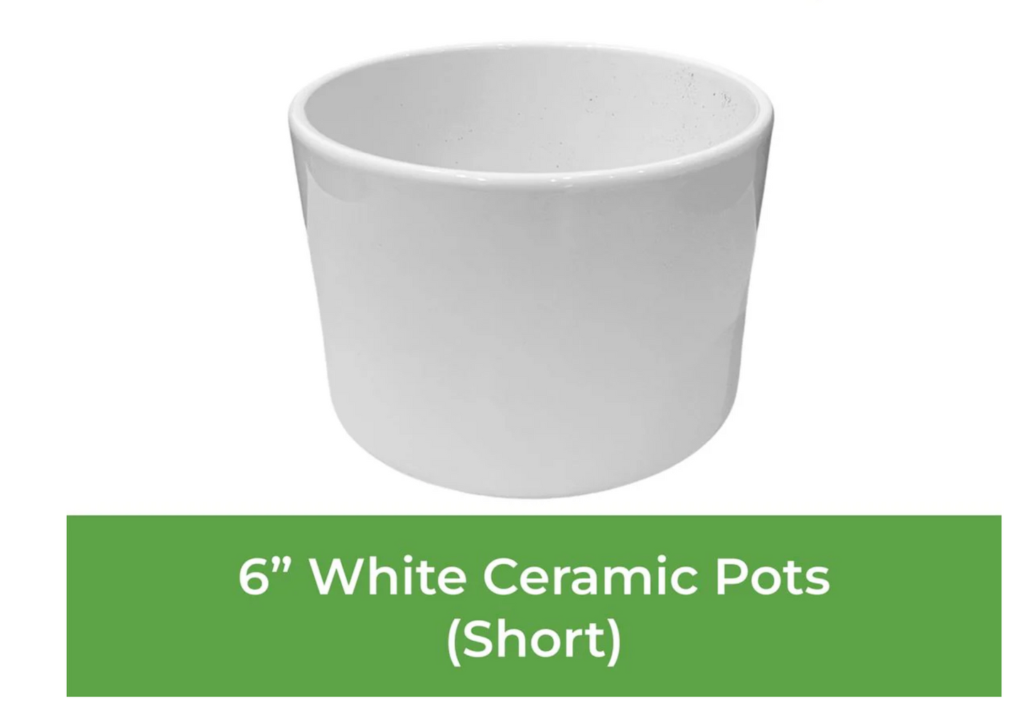 6" Ceramic Pot