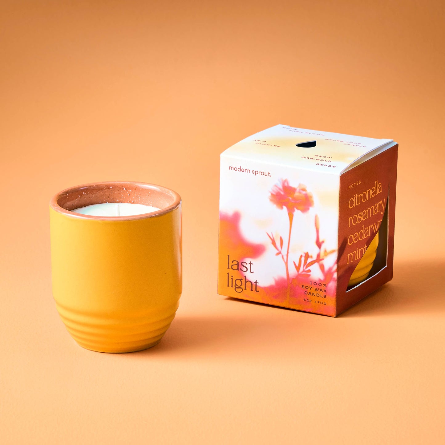 Garden Vibes Candle/Planter 2-in-1: Golden Moments - Sage