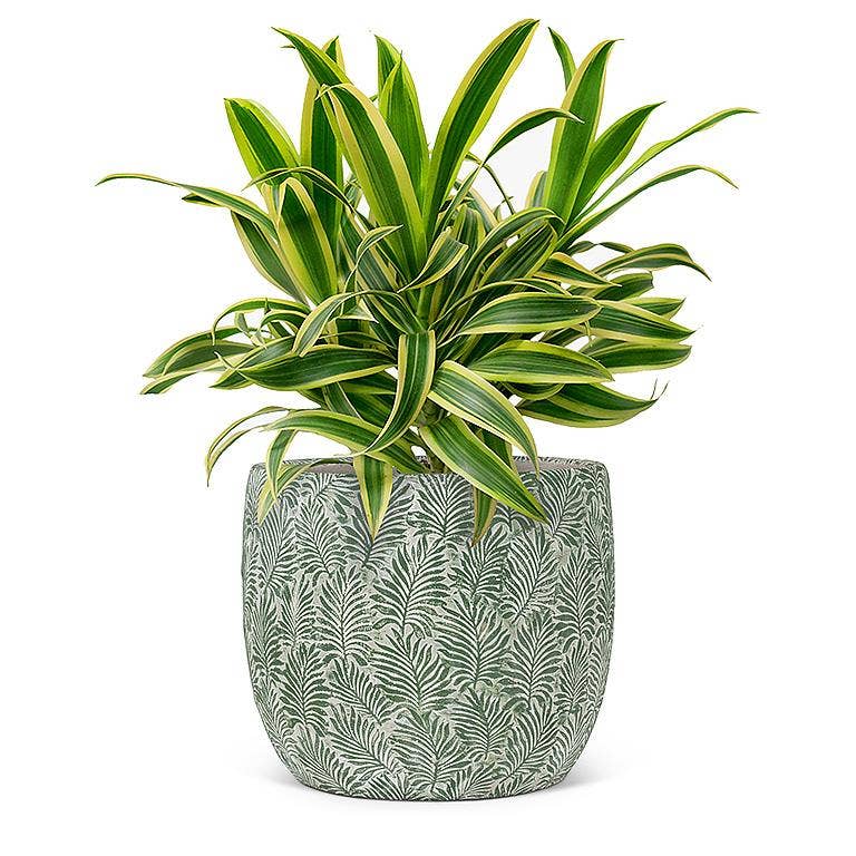 Green Leaf Planter: Small (5"D)