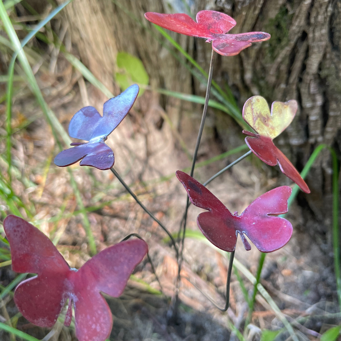 Small Natural Copper Butterflies