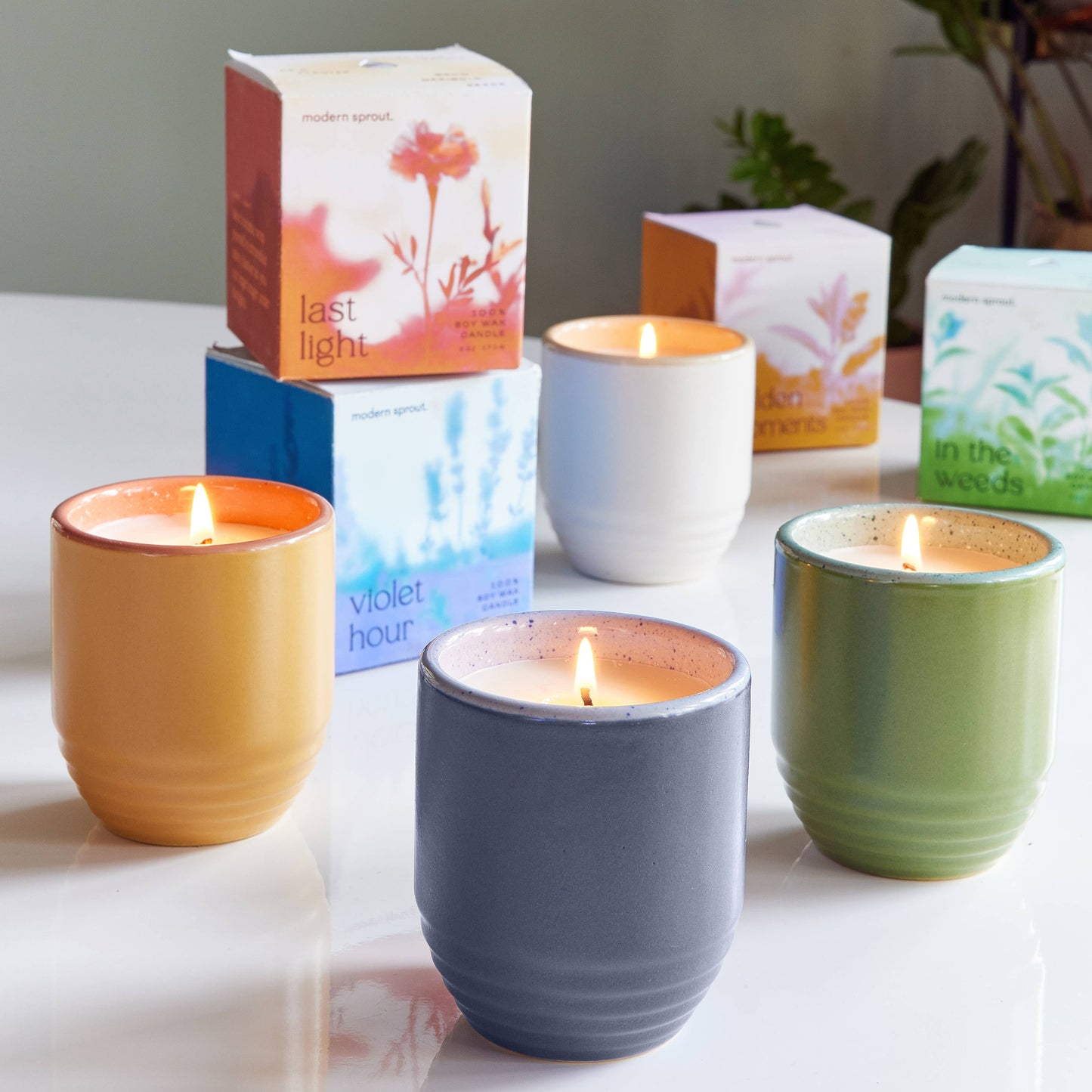 Garden Vibes Candle/Planter 2-in-1: Golden Moments - Sage