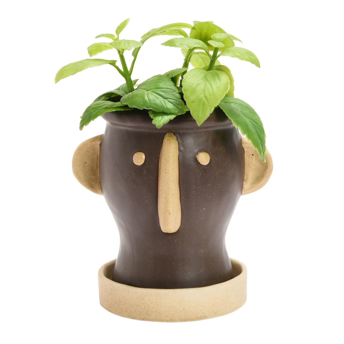 Stoneware Face Planter w/ Saucer "Why the Long Face?"