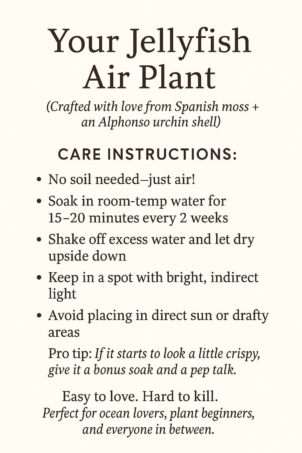 Jellyfish Spanish Moss Airplant