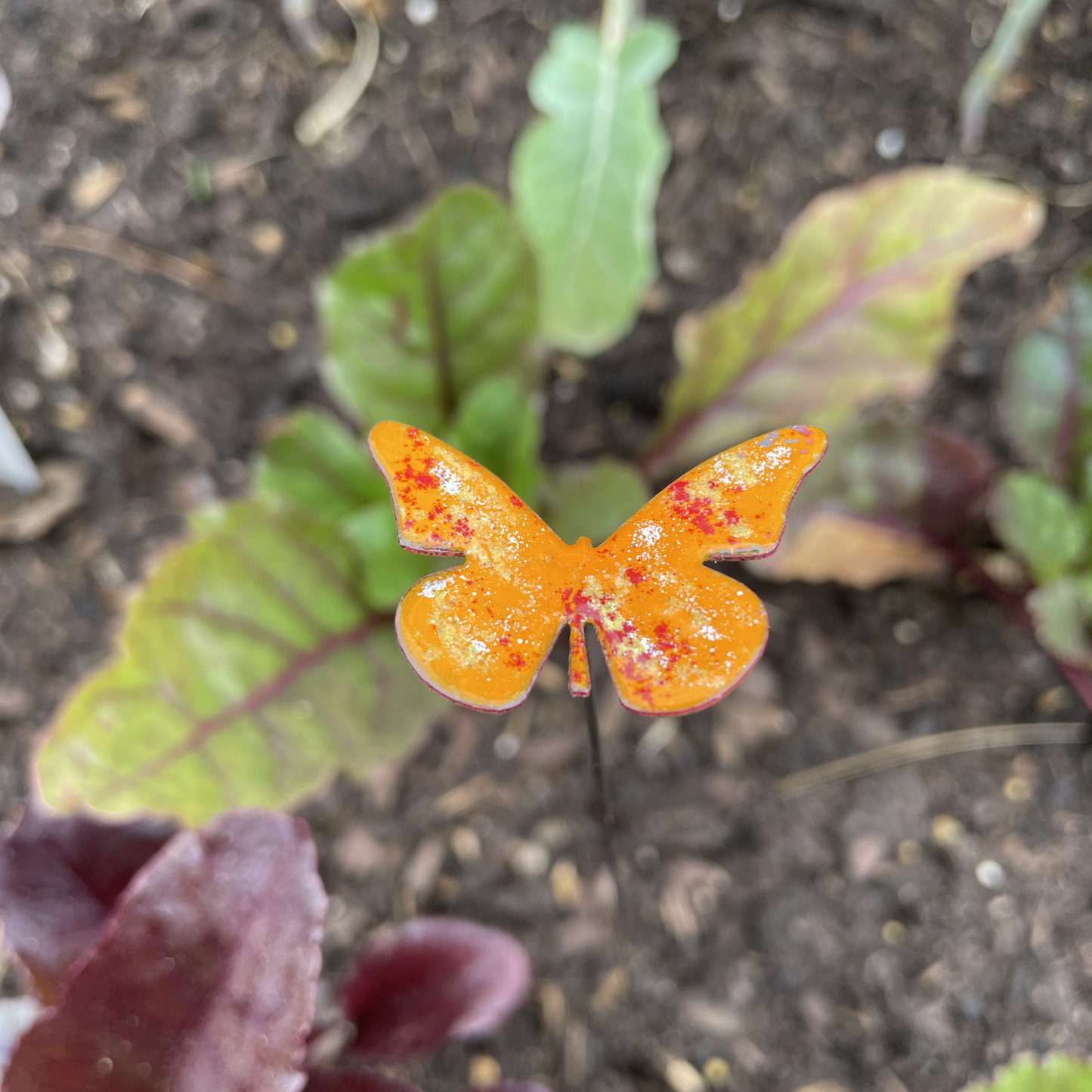 Small Copper Enamel Butterflies