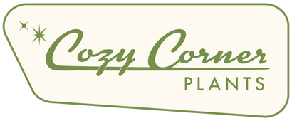 Search – Cozy Corner Plants