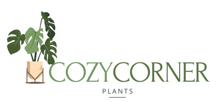 Cozy Corner Plants